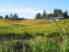 Lynmar Estate